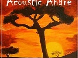 Acoustic Andre