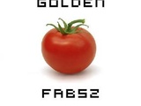 Golden Fabsz