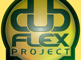 Mike Chatta / Dub flex Project