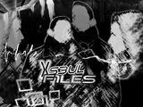 Xseul-files