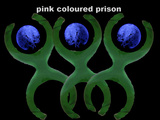 Pink Coloured Prison