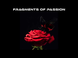 Fragments of Passion