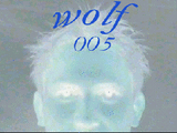 wolf 005