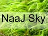 NaaJ Sky
