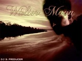 Walter Moon