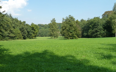 MAGIC DREAM MAGIC DREAM