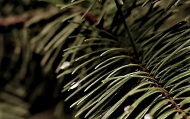 DavidSenn // Sense Tapes DavidSenn // Sense Tapes