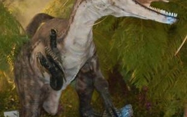 Dj ce Raptor Dj ce Raptor