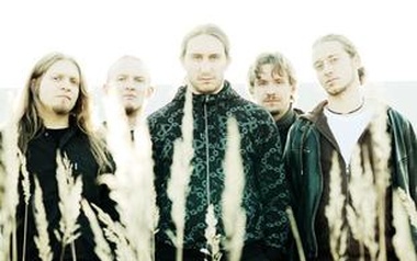 Dryads Tree Dryads Tree