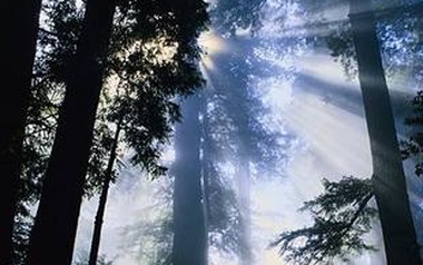 TB Project TB Project