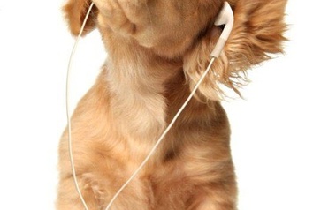 Lasouldjay Lasouldjay