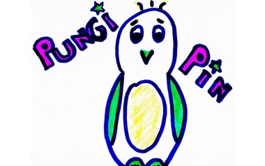 Pungi Pin Pungi Pin