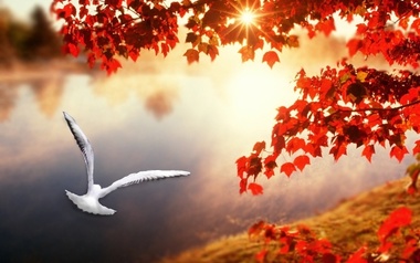 Dennis Eggemann Dennis Eggemann