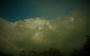 dk is mr butterfly dk is mr butterfly