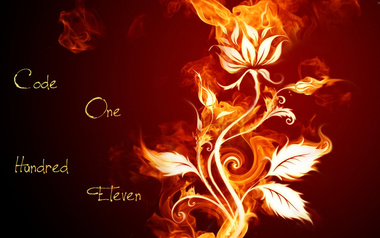 Code OneHundredEleven Code OneHundredEleven