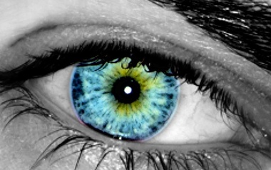 LucasGeorg LucasGeorg