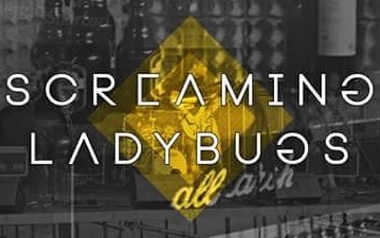 Screaming Ladybugs Screaming Ladybugs