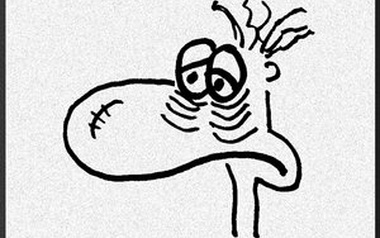 Stefan Dibell Stefan Dibell