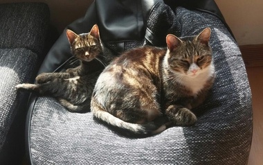 anna - lena anna - lena