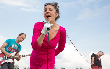 Wunderbare Katze Wunderbare Katze