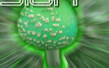 Bright Sign Bright Sign