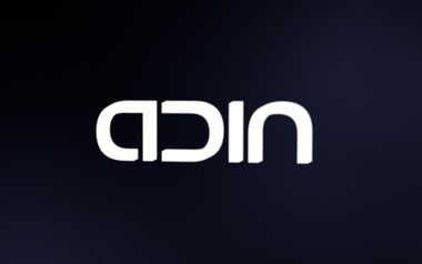 Adin Adin