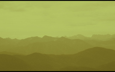 Native Elephant Native Elephant