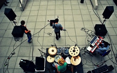 Elephant Project Elephant Project