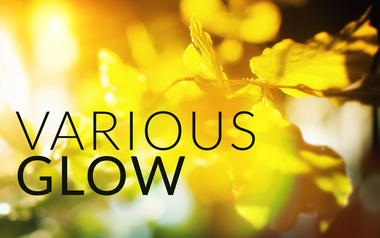 Various Glow Various Glow