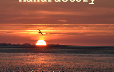 ManuFactory ManuFactory