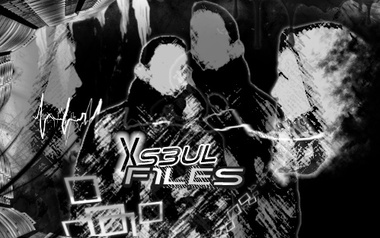 Xseul-files Xseul-files