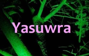 Yasuwra Yasuwra