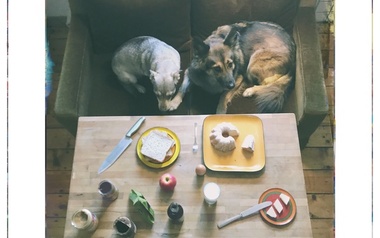 Stylerwack Stylerwack