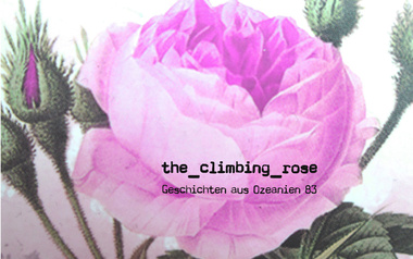 the_climbing_rose