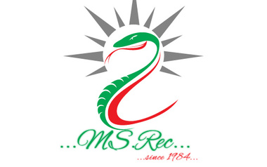 MSRec... MSRec...