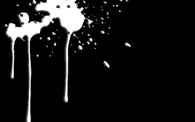 Next Level Essentials Next Level Essentials