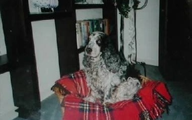 R.kopieright R.kopieright