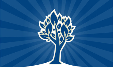 Sound.Of.Tree Sound.Of.Tree