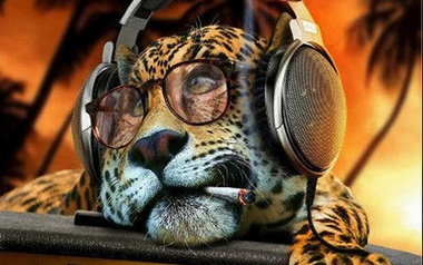 Uncommerce Uncommerce