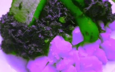 Lachs -o_ fLex Lachs -o_ fLex