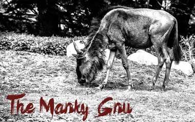 The Manky Gnu The Manky Gnu