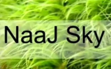 NaaJ Sky NaaJ Sky