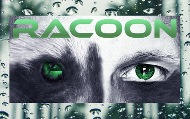 RACOON RACOON