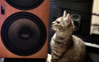 Animos Productions Animos Productions