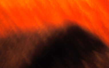 Spiralgeist Spiralgeist