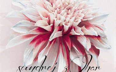 sundrej zOhar sundrej zOhar