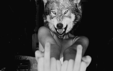 PSiCODELiCAT PSiCODELiCAT