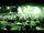 zur Profilseite von The Herbpirates The Herbpirates