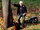 zur Profilseite von Klaus Adamaschek & Shiregreen Klaus Adamaschek & Shiregreen