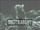 zur Profilseite von Unstraight Unstraight